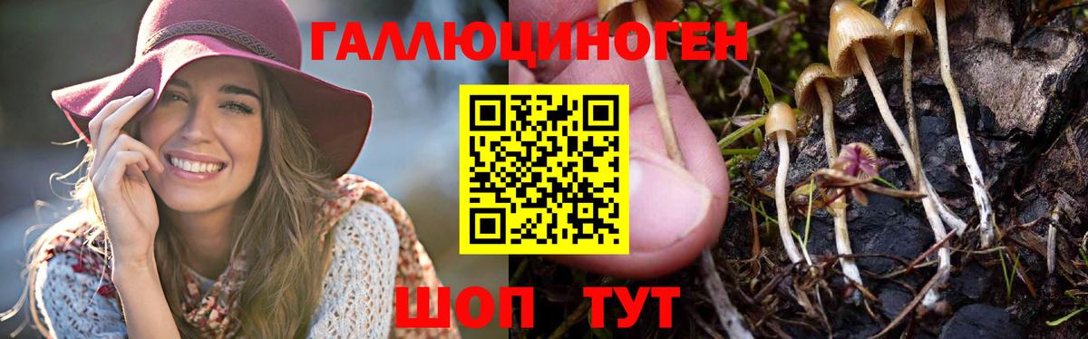 Псилоцибиновые грибы MAGIC MUSHROOMS Миллерово