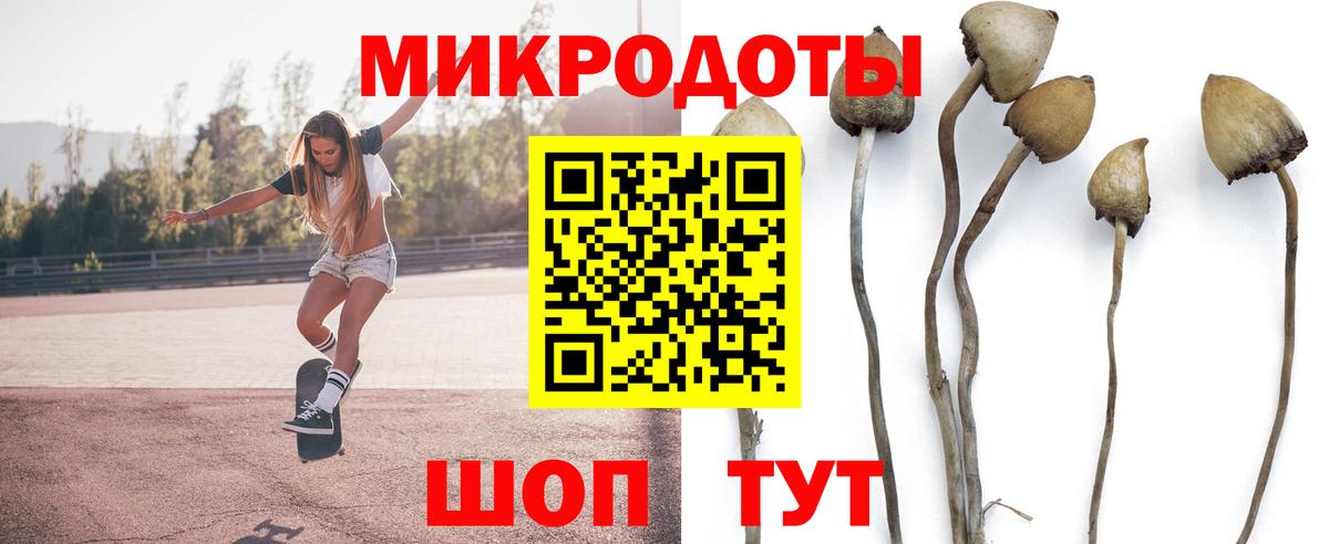 Миллерово  Галлюциногенные грибы прущие грибы  Галлюциногенные грибы мицелий  Вход с VPN 